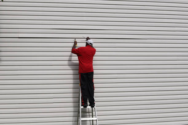 Best Siding for New Construction  in Hailey, ID